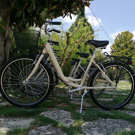 Hotel Country House La Radice Civitanova Marche Dış mekan fotoğraf